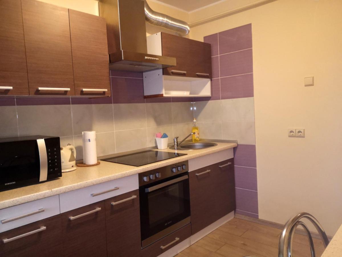 Kristinos Apartment ドルスキニンカイ エクステリア 写真