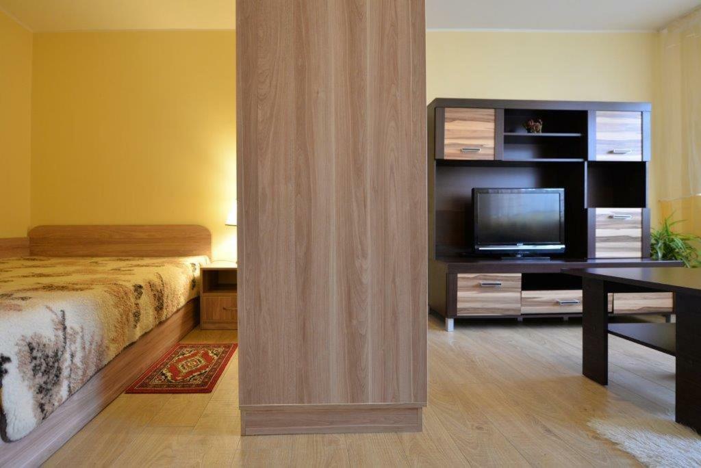 Kristinos Apartment ドルスキニンカイ エクステリア 写真